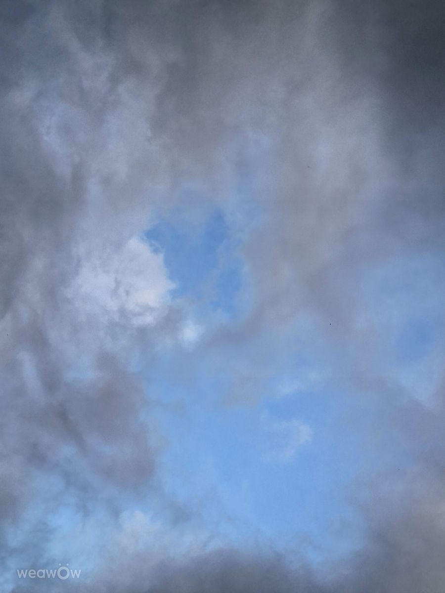 Photographer Wen-ya Huang, Weather Photos in Kaohsiung City - Weawow