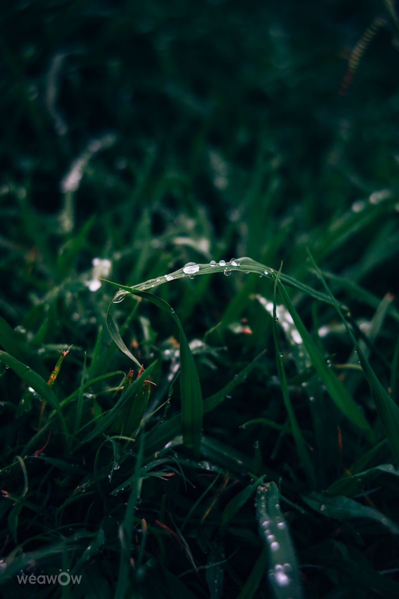 Fotos sobre el clima en Batum. Pronósticos del tiempo con hermosas fotos de dabaevd