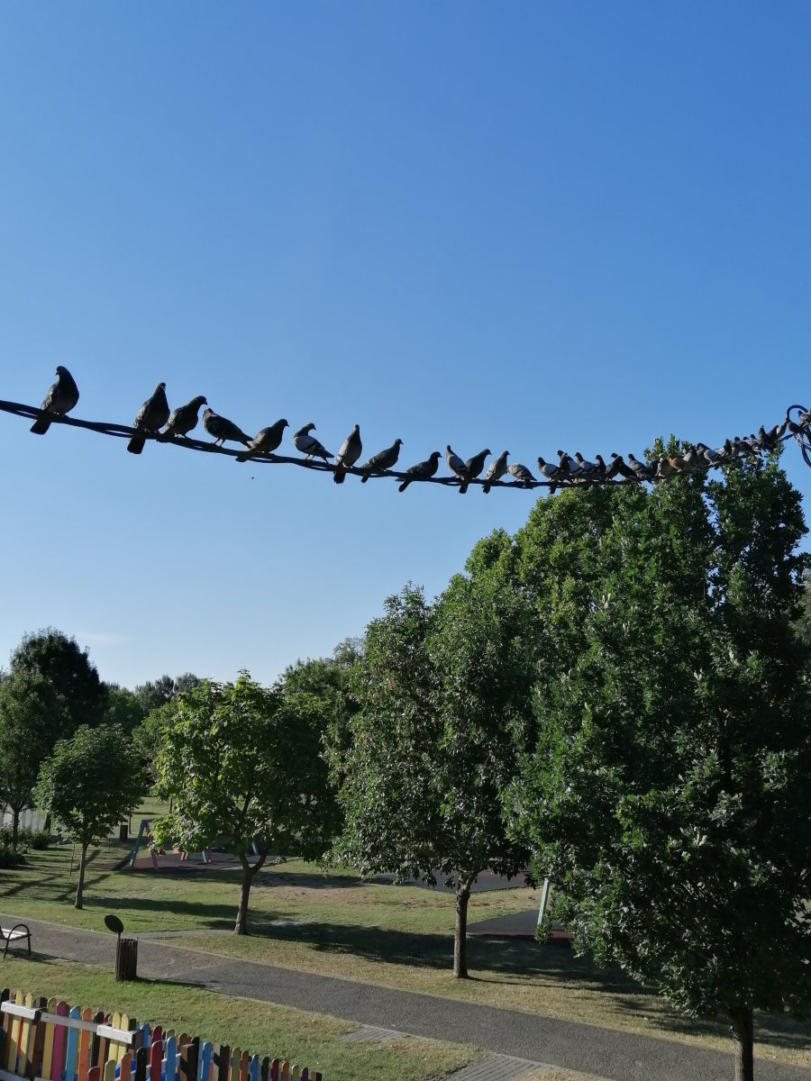 Weather Photos in Arad. Weather forecasts with beautiful photos by Augustin