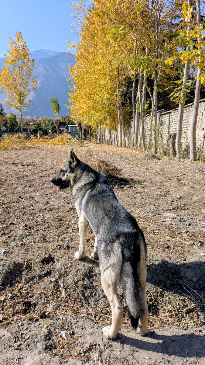 Fotos do tempo em Paquistão. Previsões do tempo com lindas fotos de Trekchitral