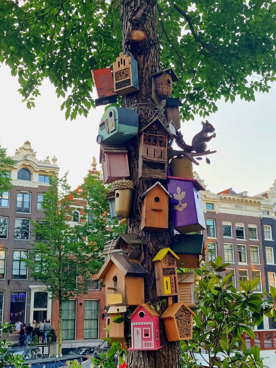 Photos météo à Amsterdam. Prévisions météo avec de superbes photos de FraLampedusa