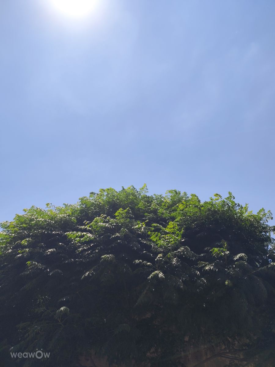 シリアの天気写真. Abo_Malekの美しい写真による天気予報