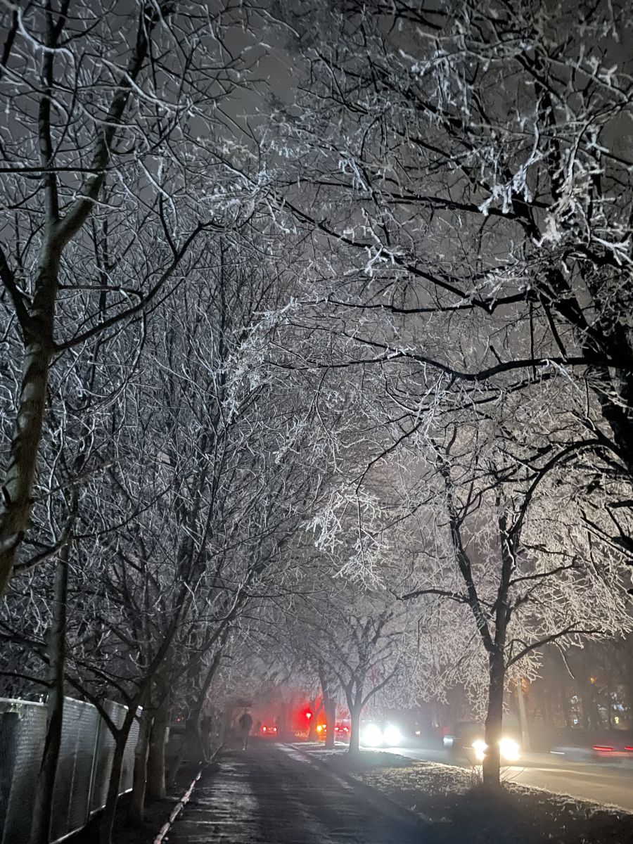 Photographer yuliia88888888, Weather Photos in Khmelnytskyi - Weawow