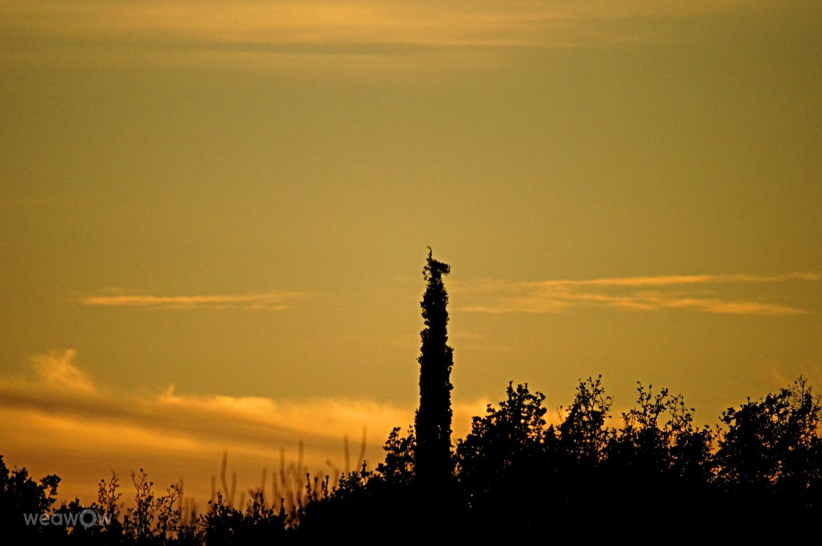 Prévisions météo avec de superbes photos de tony5636