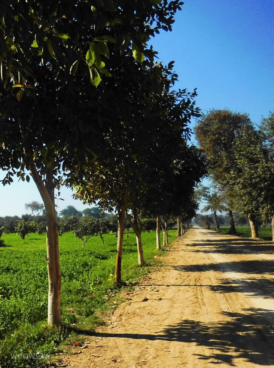 Weather Photos in Pakistan. Weather forecasts with beautiful photos by Yousuf