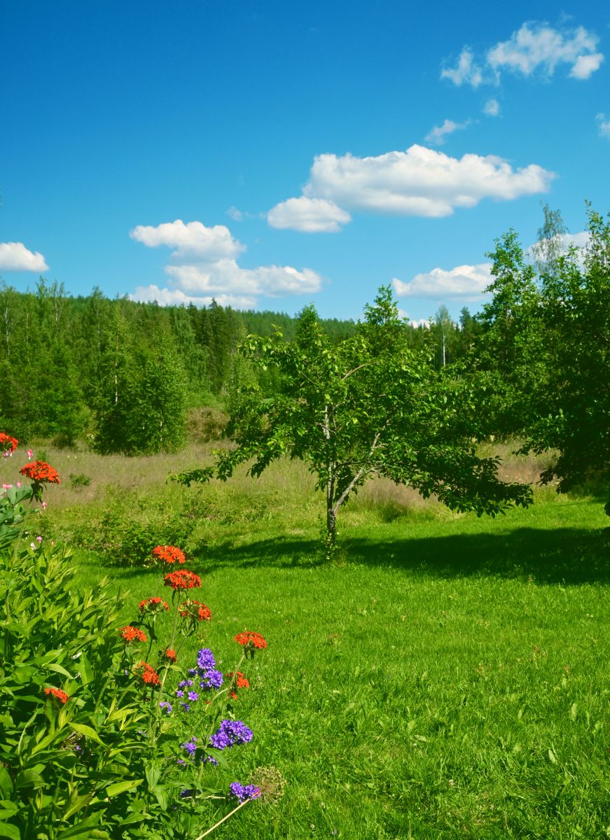 Weather Photos in Finland. Weather forecasts with beautiful photos by Kokorhekkus
