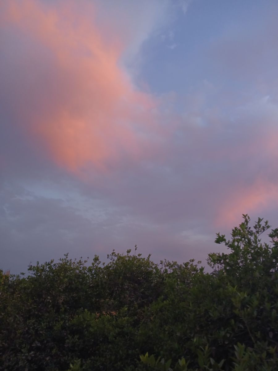 Weather Photos in Zagazig. Weather forecasts with beautiful photos by Doaa
