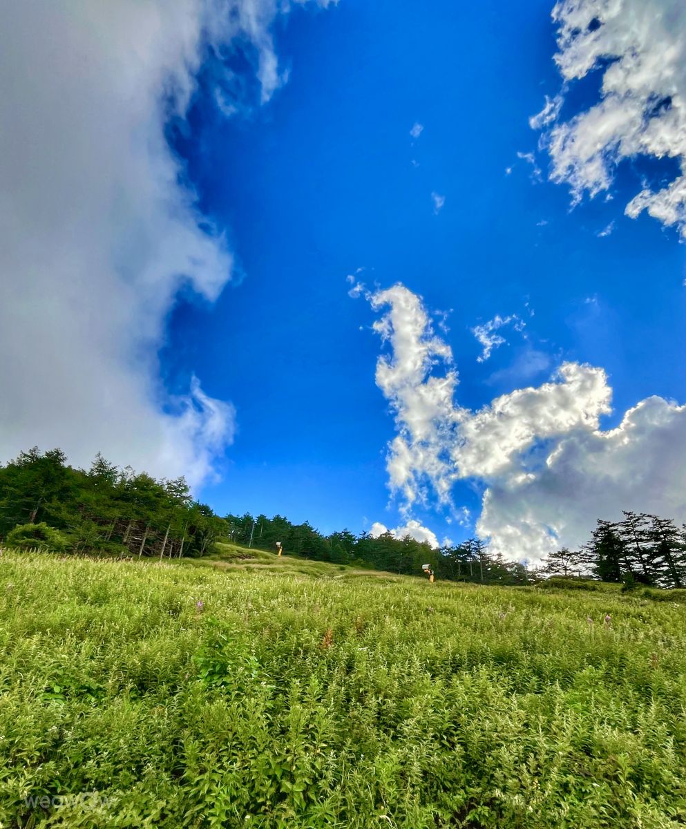 Weather Photos in 高峰高原. Weather forecasts with beautiful photos by Kasumisou