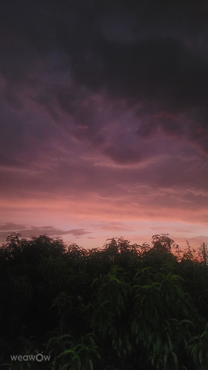 Sao Paulo的天气照片. 天气预报，带Vanbort87精美的照片