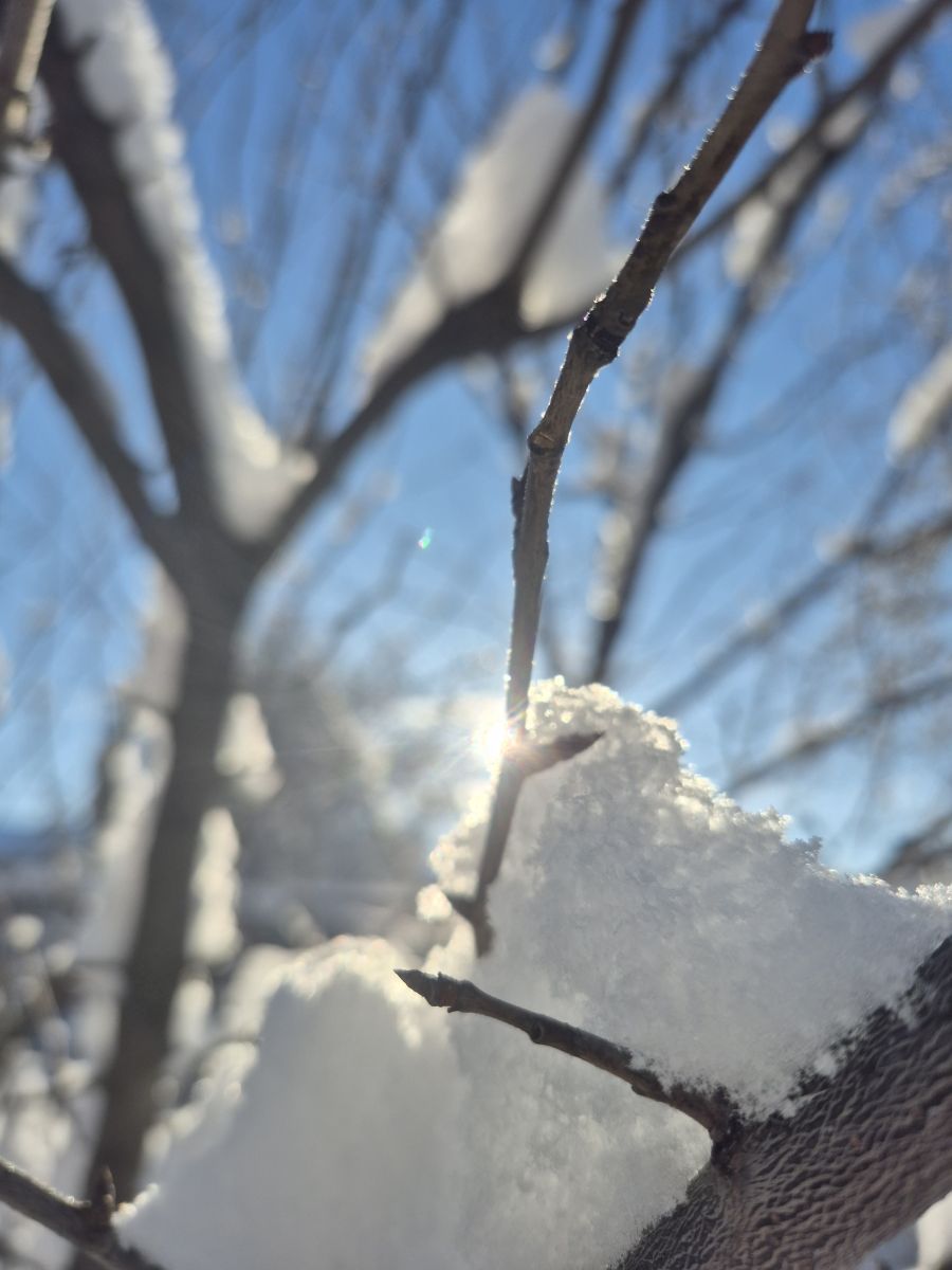 Fotos sobre el clima en Bila Tserkva. Pronósticos del tiempo con hermosas fotos de Маргарита Котенко