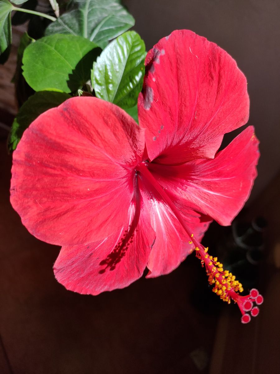 Photographe Belkka303, Photos météo à Krasnodar - Weawow