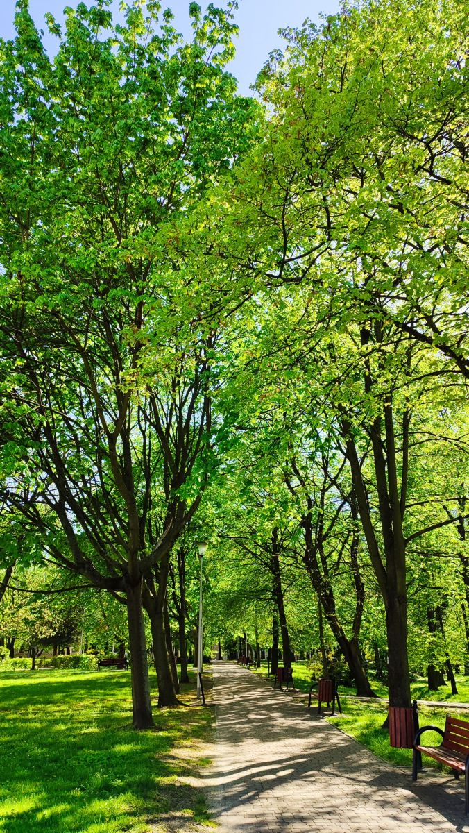 Fotógrafo Romek58, Fotos sobre el clima en Wieluń - Weawow