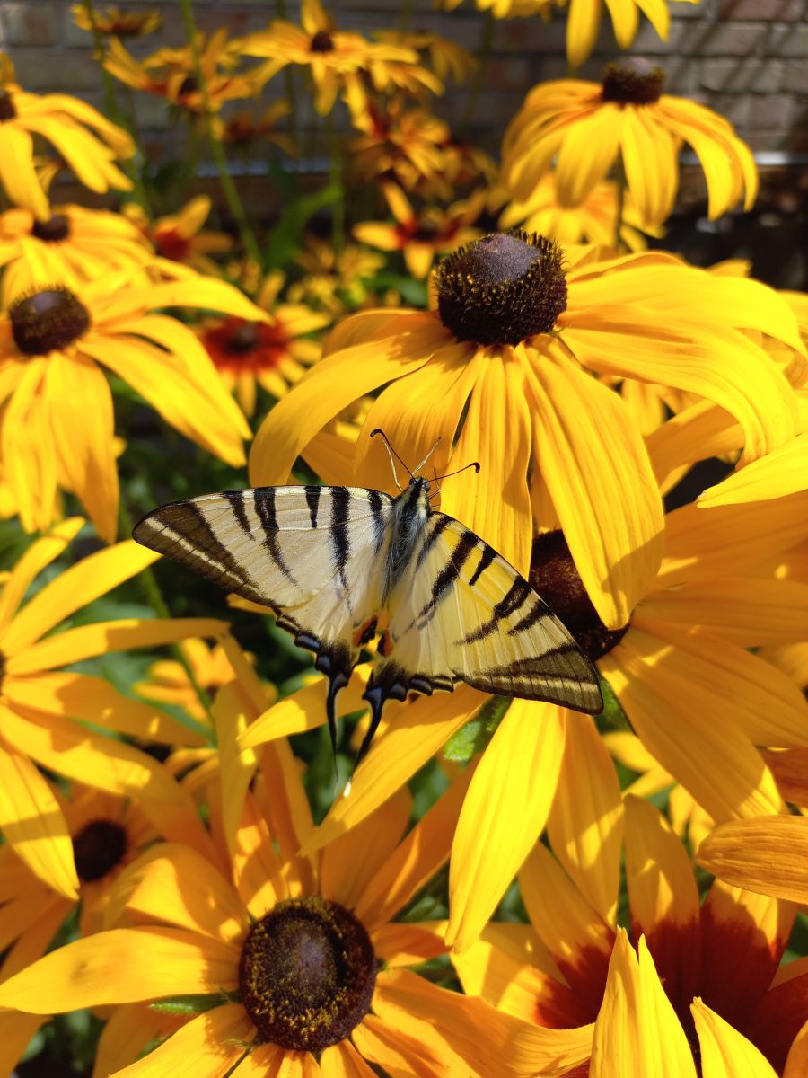 Фотографии Погоды в Фастов. Прогнозы погоды с чудесными фотографиями, сделанными teplota