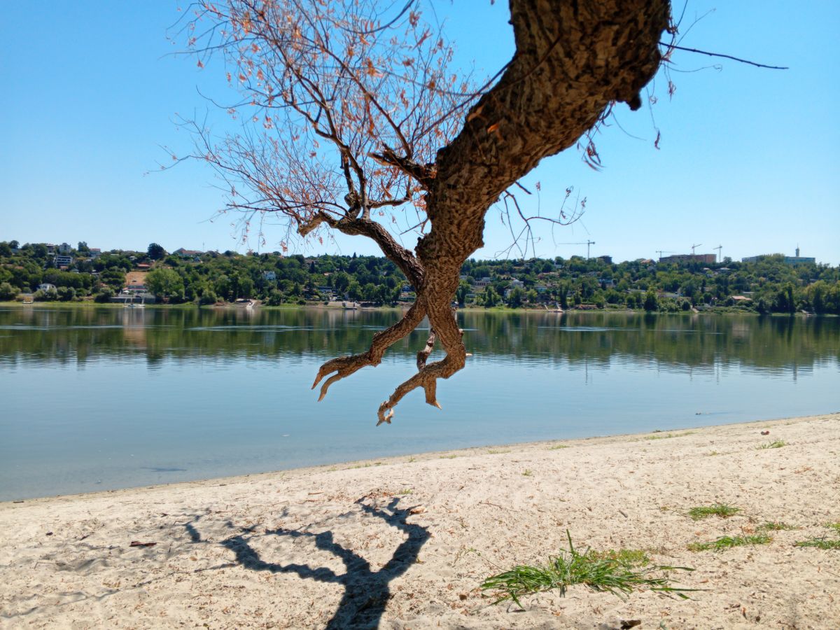 Weather forecasts with beautiful photos by Igor Crnić