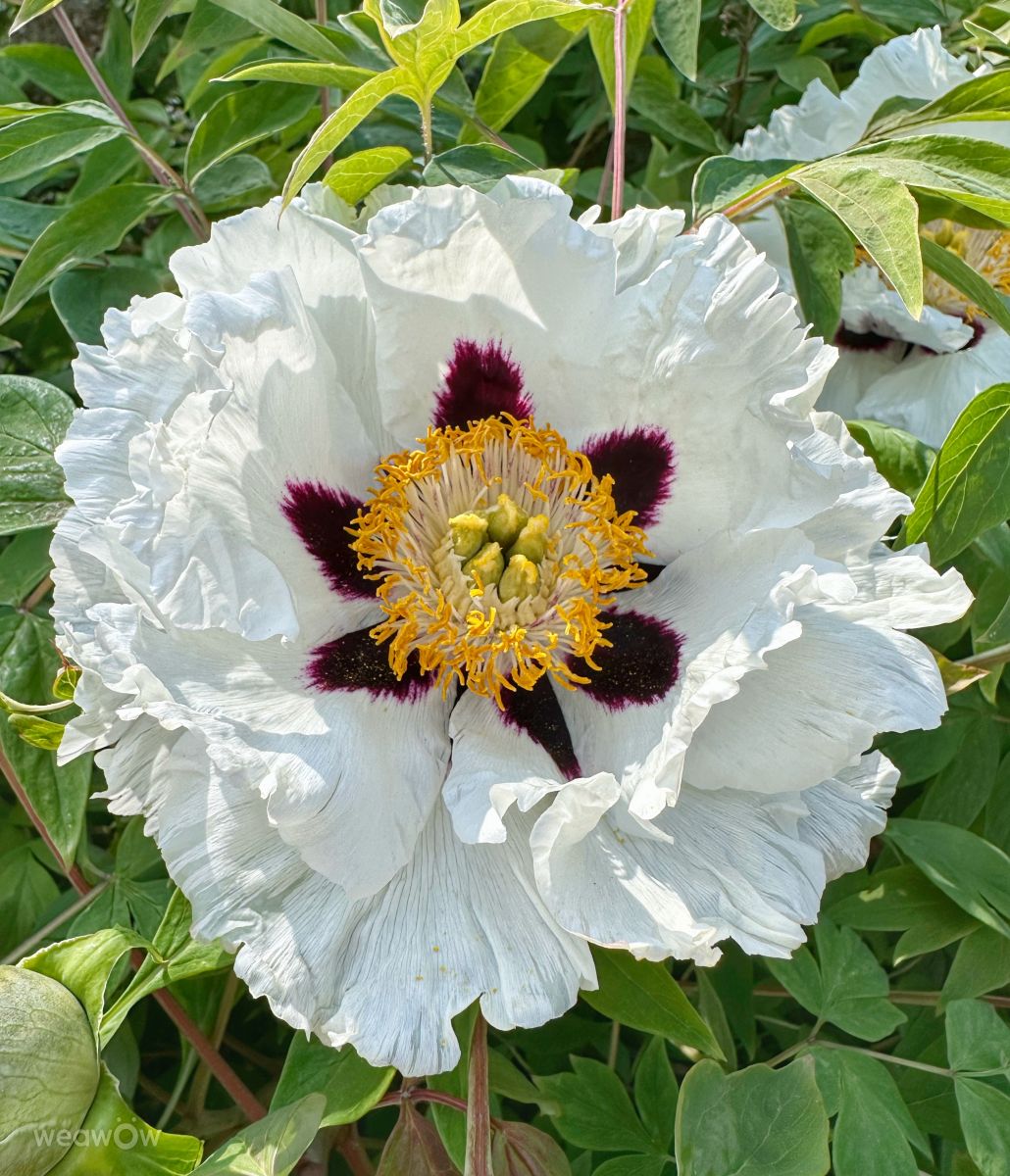 Wetter Photos Irpin. Wettervorhersagen mit schönen Fotos von Інна