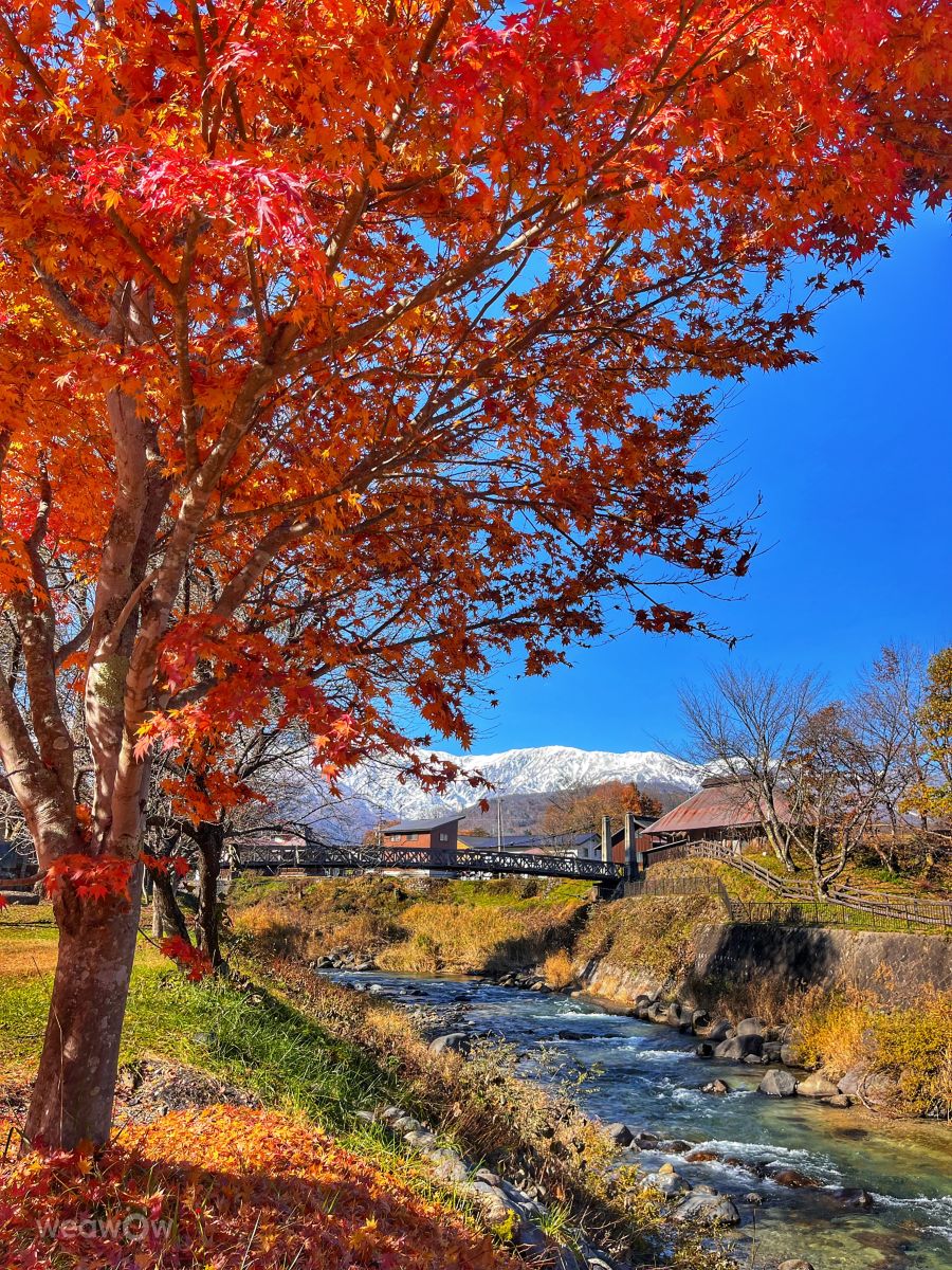Weather Photos in Japan. Weather forecasts with beautiful photos by Kasumisou