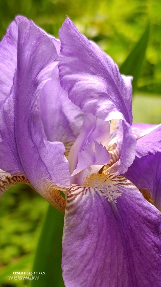 Fotos sobre el clima en Novosibirsk. Pronósticos del tiempo con hermosas fotos de ЮЛия_Светлояр