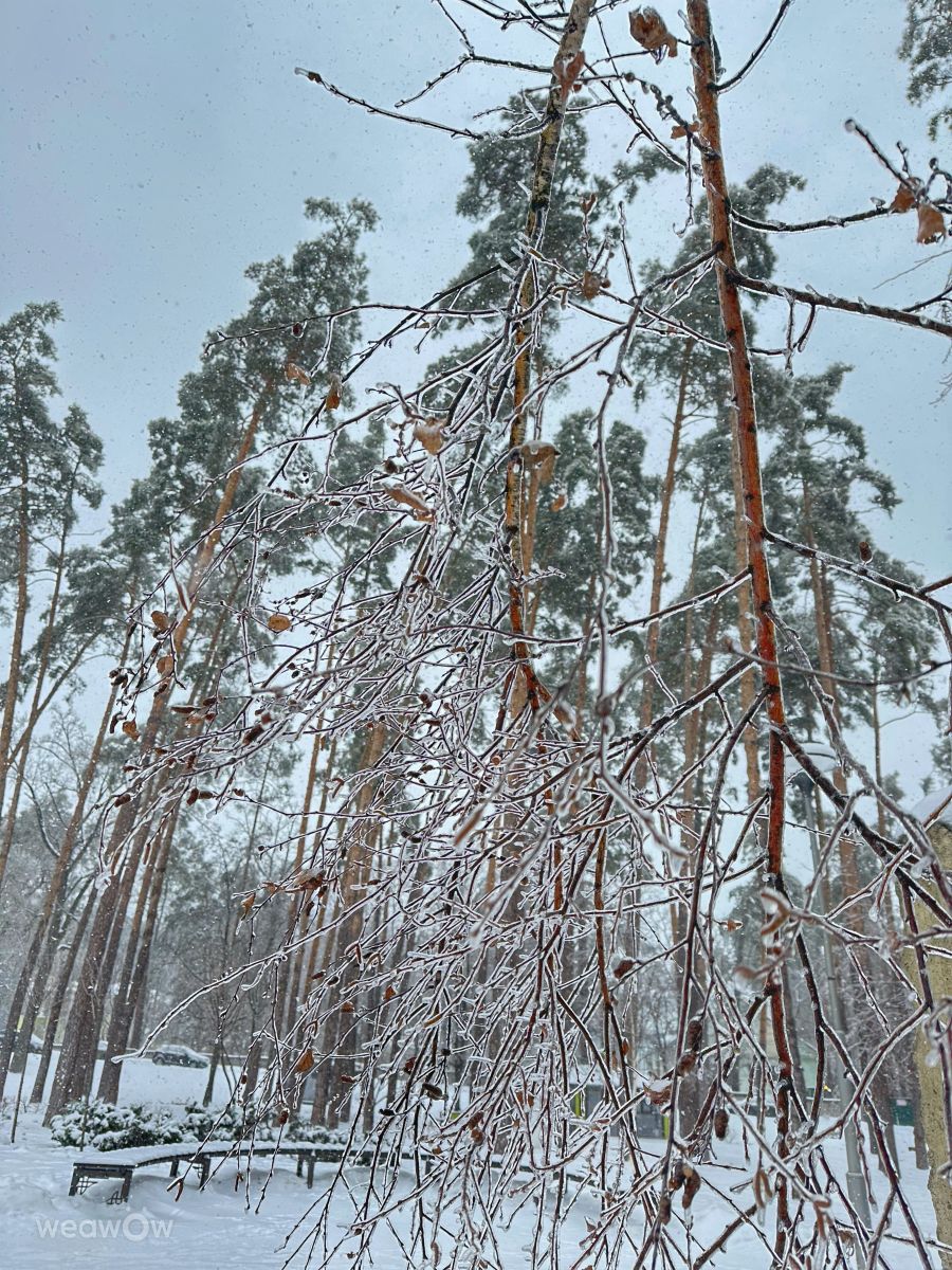 Fotos do tempo em Irpin. Previsões do tempo com lindas fotos de Інна