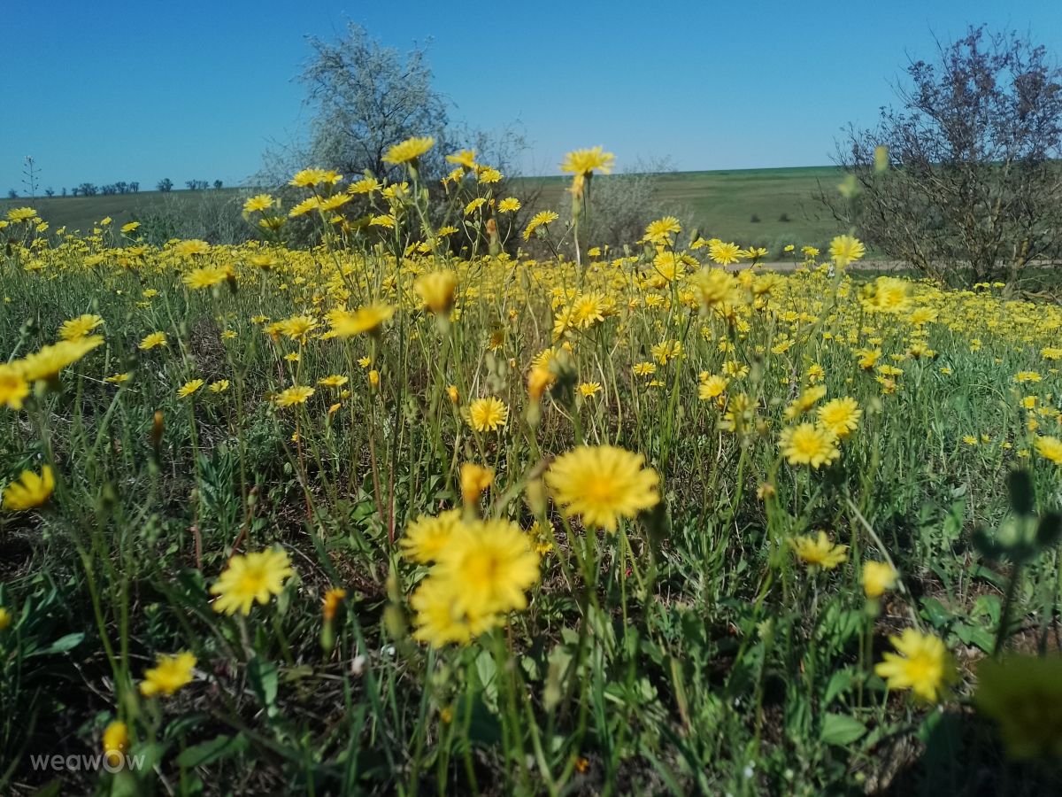 Weather Photos in Mykolayiv. Weather forecasts with beautiful photos by Nsujdc