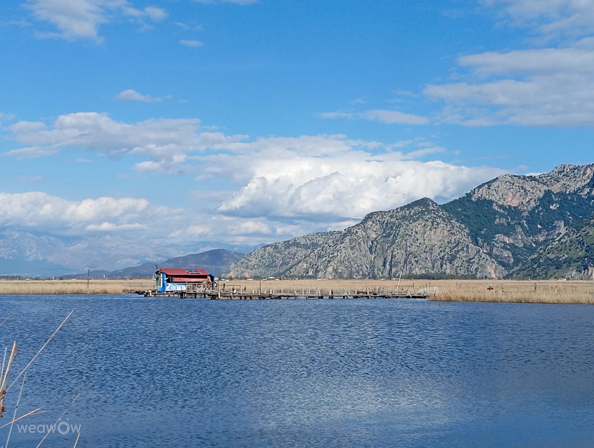 Prévisions météo avec de superbes photos de Taoches