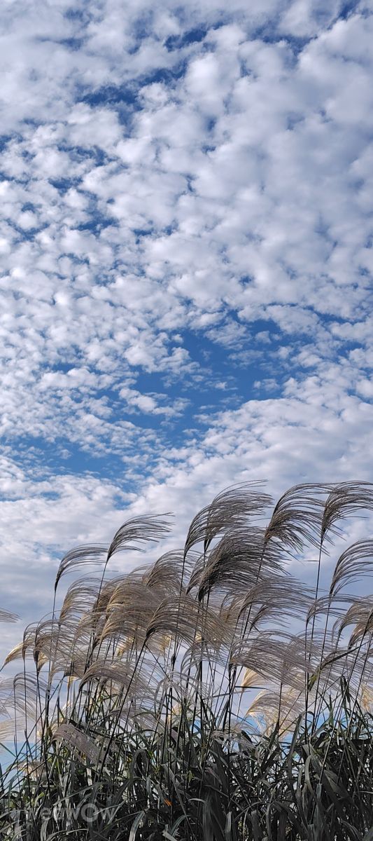 Weather Photos in Honshu. Weather forecasts with beautiful photos by umemui