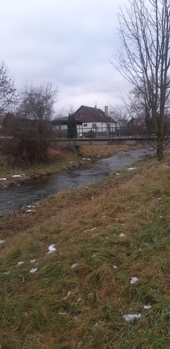 Fotografos Piškot, Fotos do tempo em Bohunovice - Weawow