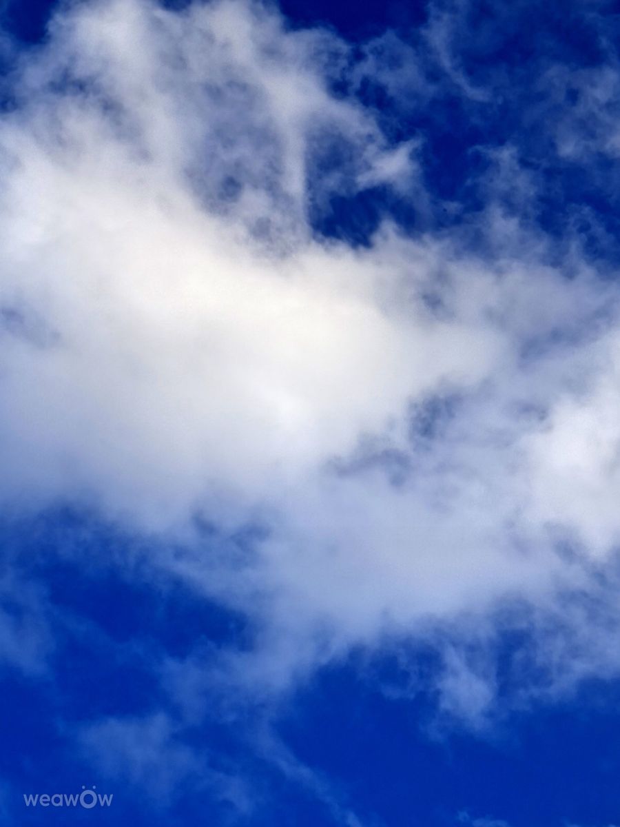 Wetter Photos Kaohsiung. Wettervorhersagen mit schönen Fotos von Wen-ya Huang