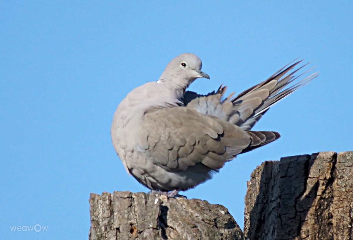 Photographer tony5636, Weather Photos in Calvisson - Weawow