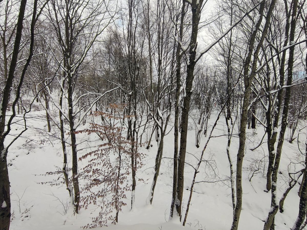 Weather Photos in Transcarpathia. Weather forecasts with beautiful photos by Hillfather