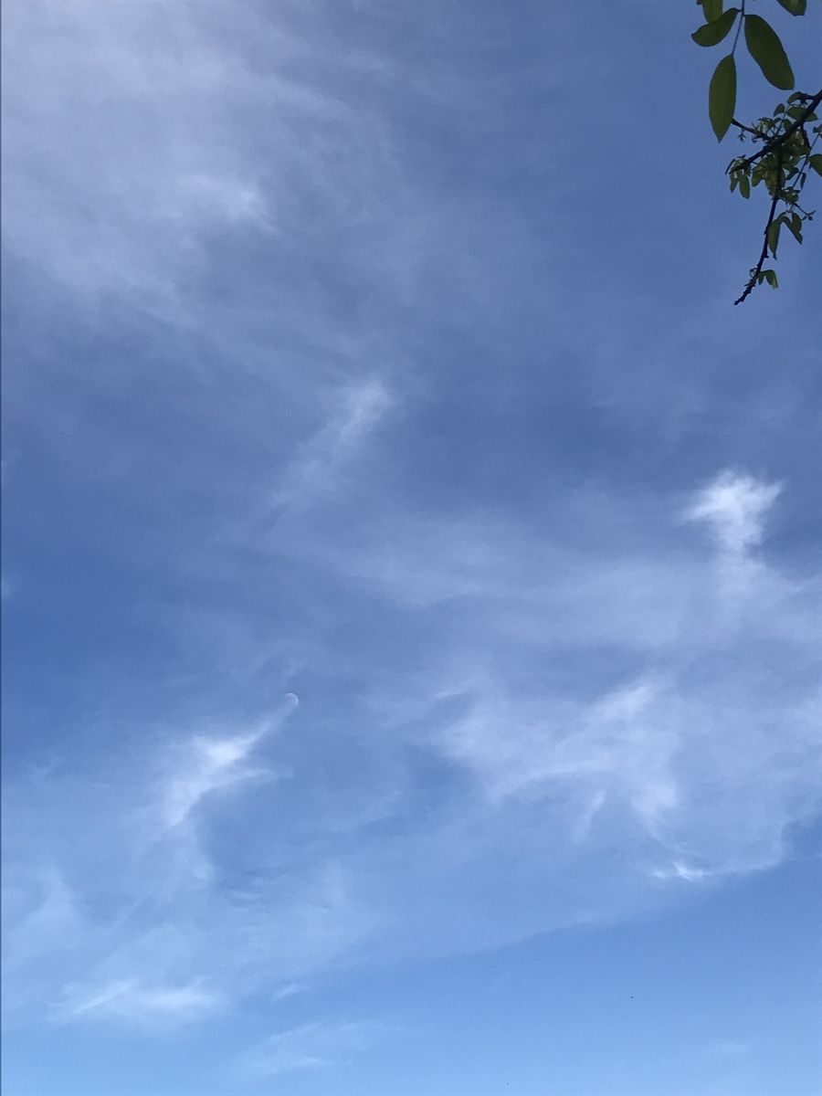 Fotos sobre el clima en Sovetsk. Pronósticos del tiempo con hermosas fotos de set479