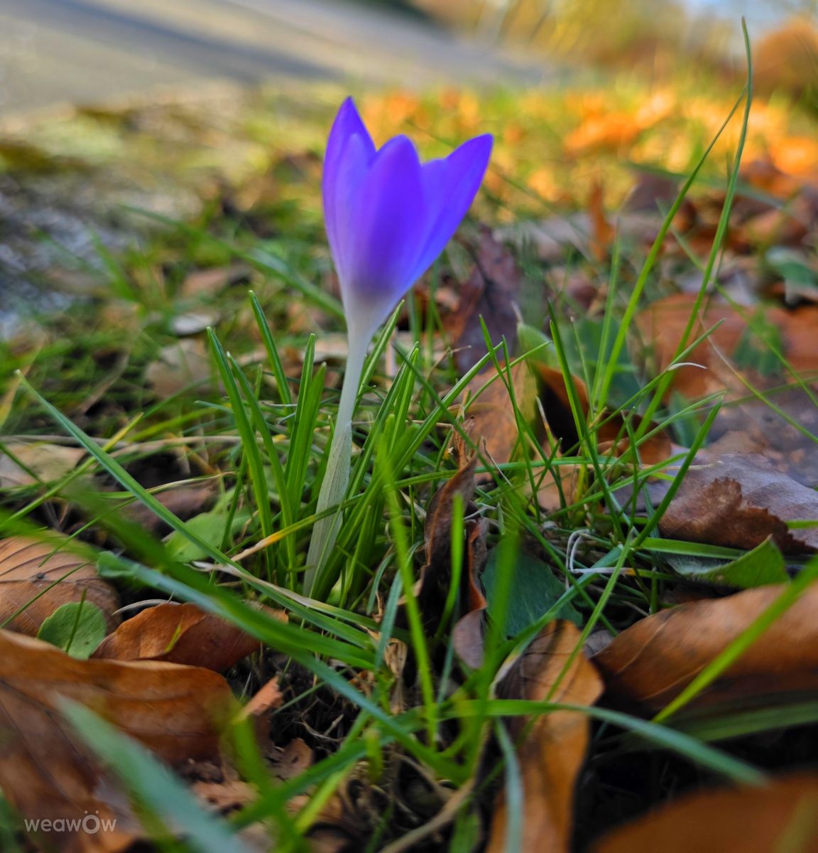Фотографии Погоды в Германия. Прогнозы погоды с чудесными фотографиями, сделанными Seni