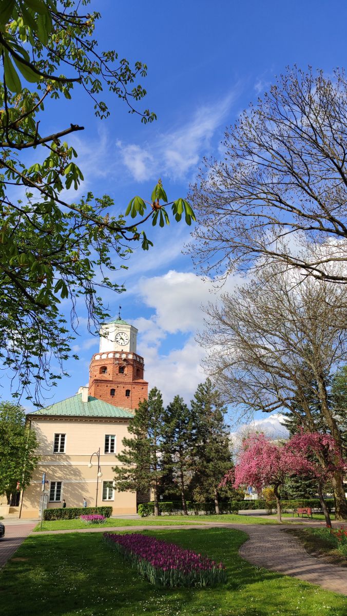 Fotógrafo Romek58, Fotos sobre el clima en Wieluń - Weawow