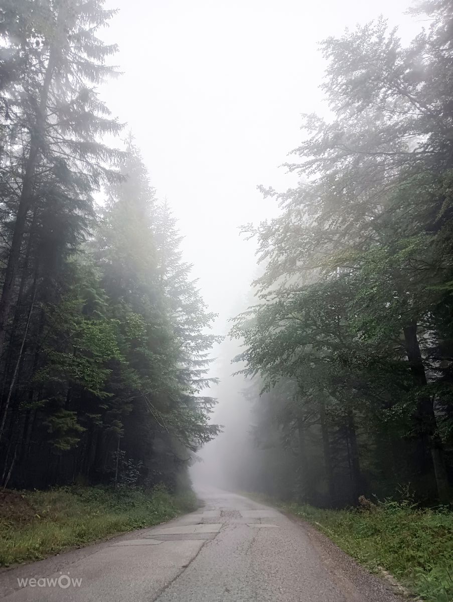 Photographer Iris_photo, Weather Photos in Tara Weawow