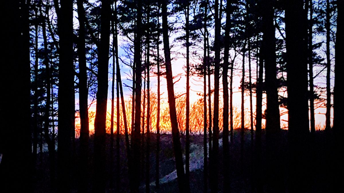 パランガの天気写真. Jūratėの美しい写真による天気予報