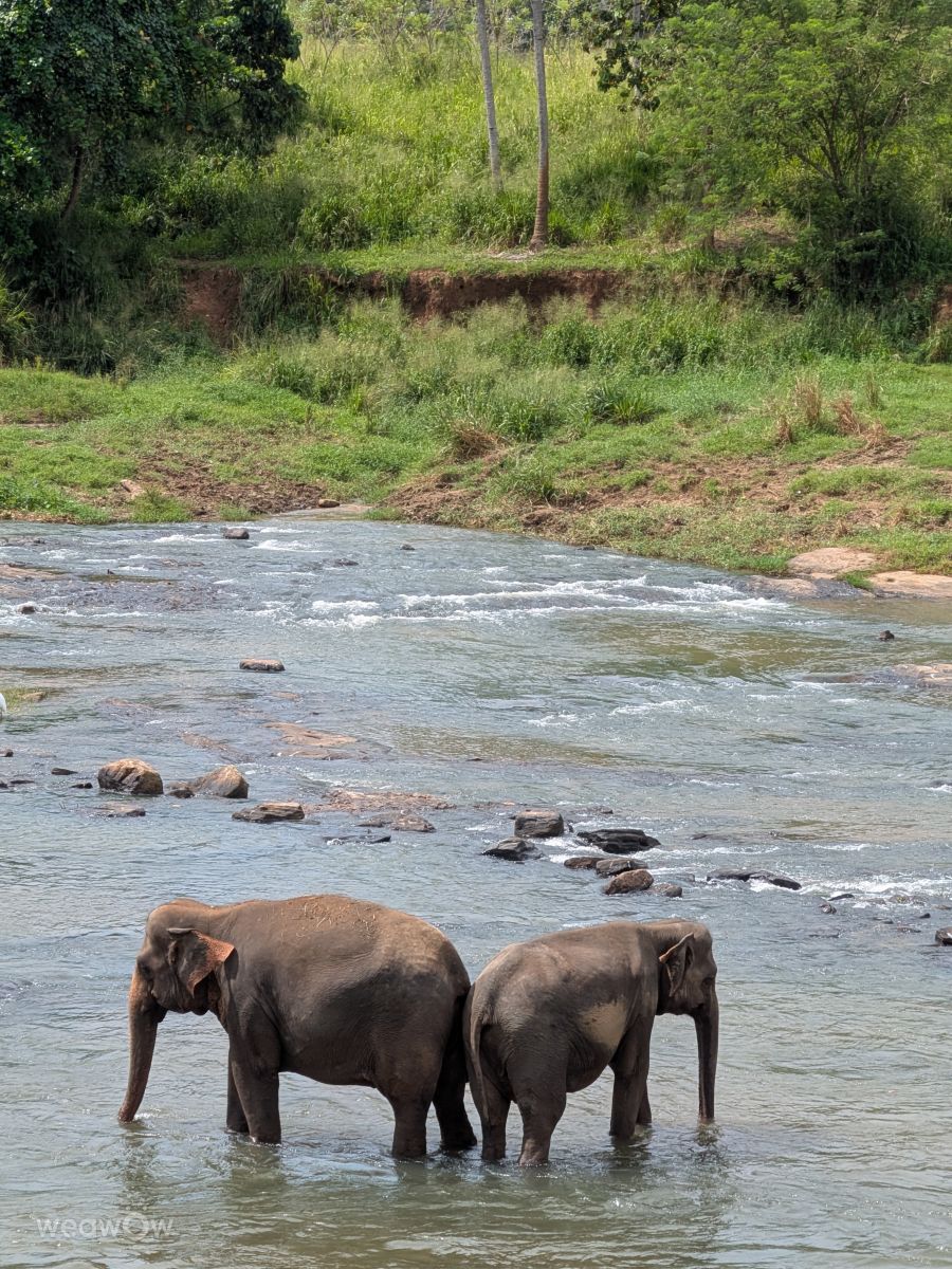 Weather forecasts with beautiful photos by lunatibi