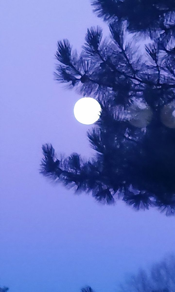 Photograph KevinG, Wetter Photos Beaverbrook - Weawow