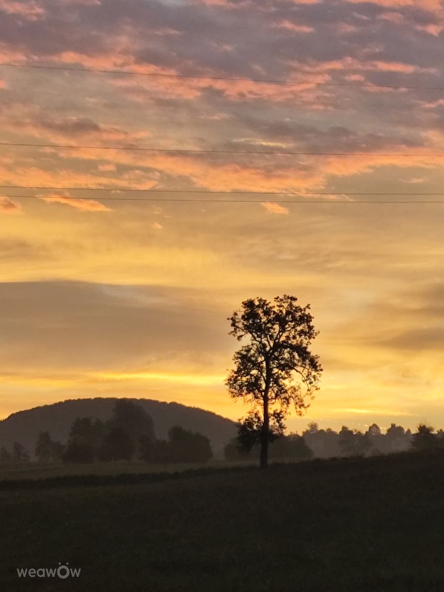 摄影师 Brtd，Allersberg的天气照片 - Weawow