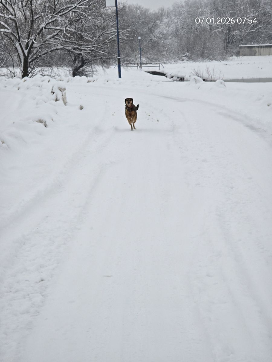 Weather Photos in Bosnia and Herzegovina. Weather forecasts with beautiful photos by Horsti