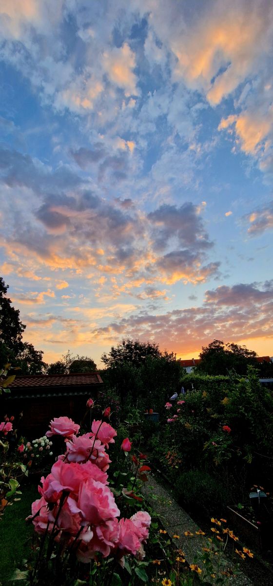 Weather forecasts with beautiful photos by Trixi21