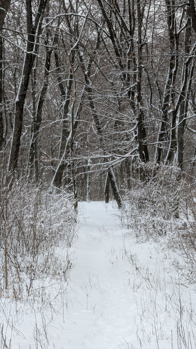 Фотографии Погоды в Сумы. Прогнозы погоды с чудесными фотографиями, сделанными демьян паламарчук