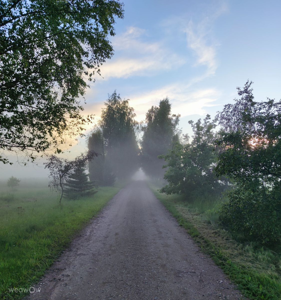 Rando79の美しい写真による天気予報