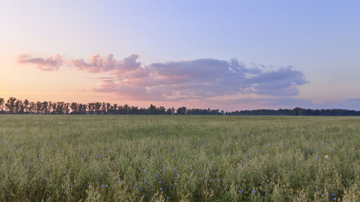 Fotos do tempo em Kaluga Oblast. Previsões do tempo com lindas fotos de Aleksei