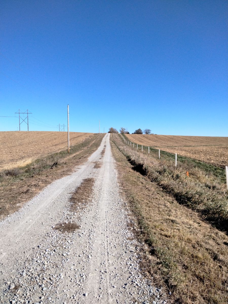 Photographer Kate72, Weather Photos in Parnell - Weawow