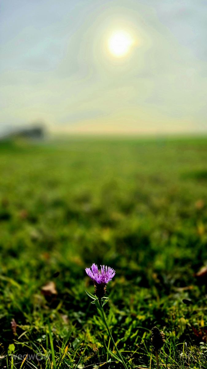 Weather Photos in Bavaria. Weather forecasts with beautiful photos by Hela