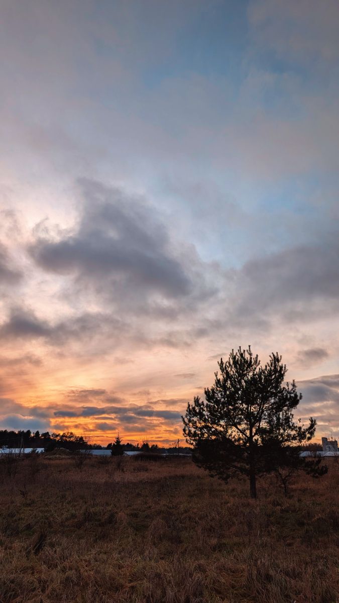 Прогнозы погоды с чудесными фотографиями, сделанными Her_elegance_Lina