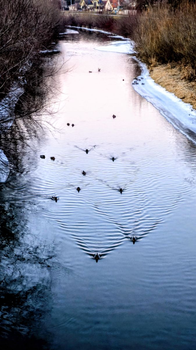 Weather Photos in Prešov. Weather forecasts with beautiful photos by erik76b