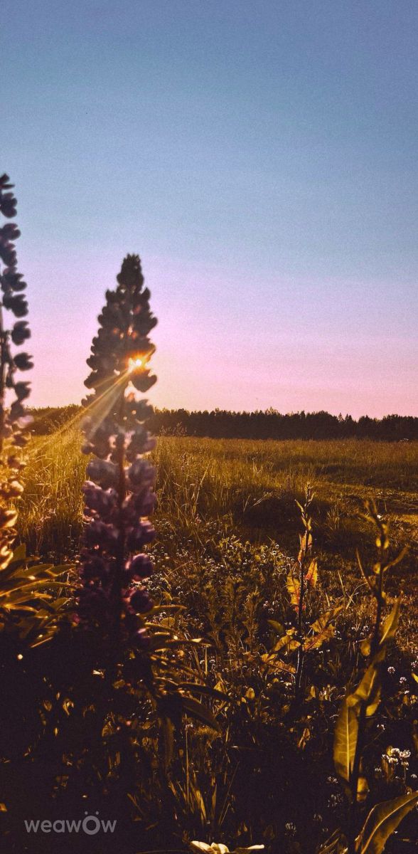 Photos météo à Tver. Prévisions météo avec de superbes photos de Ратибор