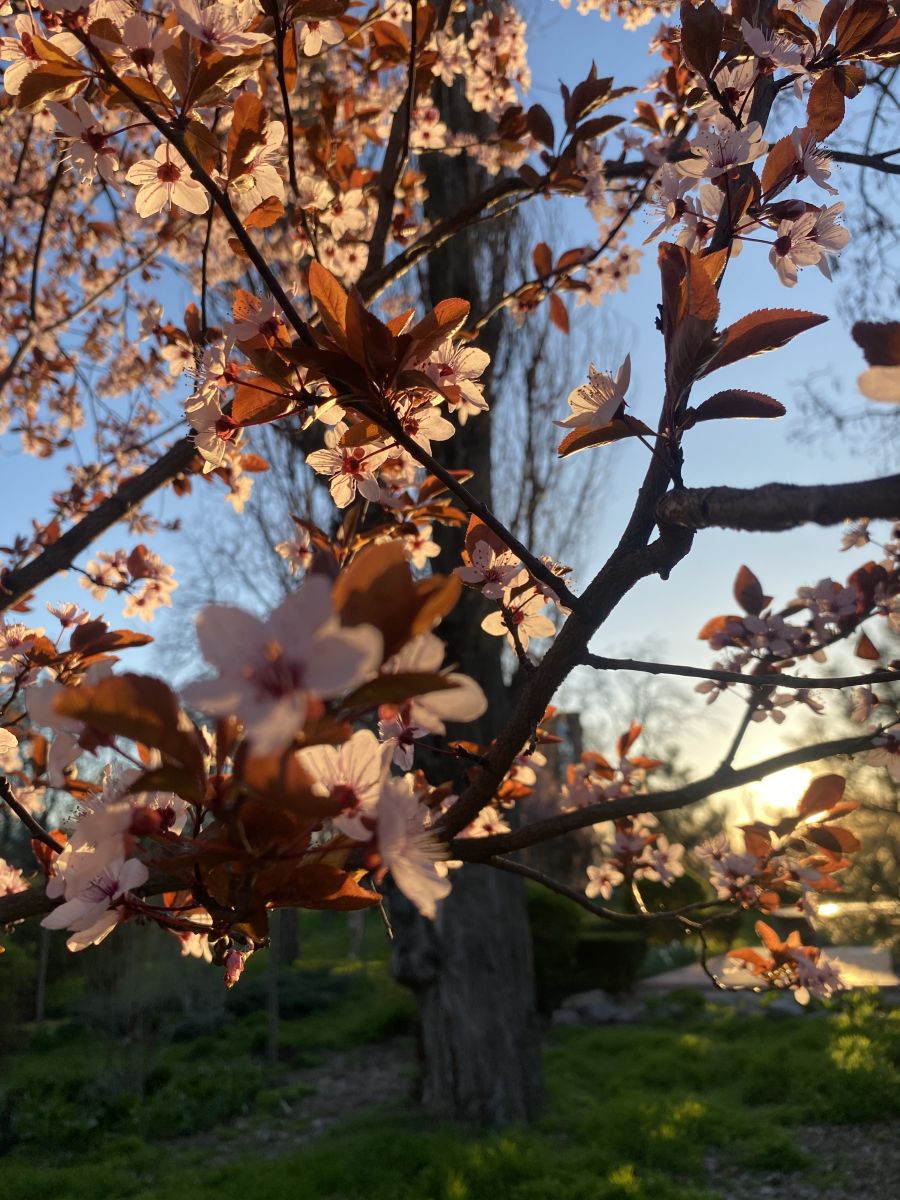 Weather Photos in Poltava. Weather forecasts with beautiful photos by Larusya