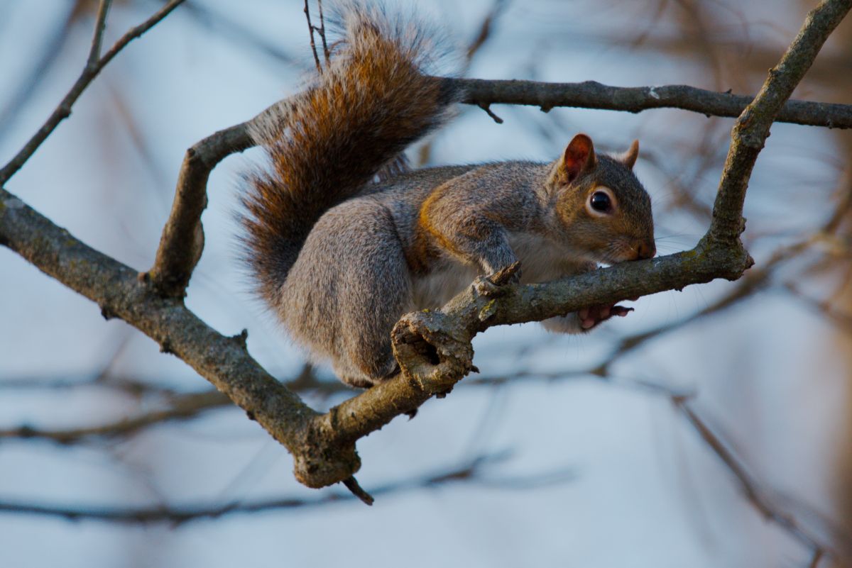 Фотографии Погоды в Hanover. Прогнозы погоды с чудесными фотографиями, сделанными krantzjh