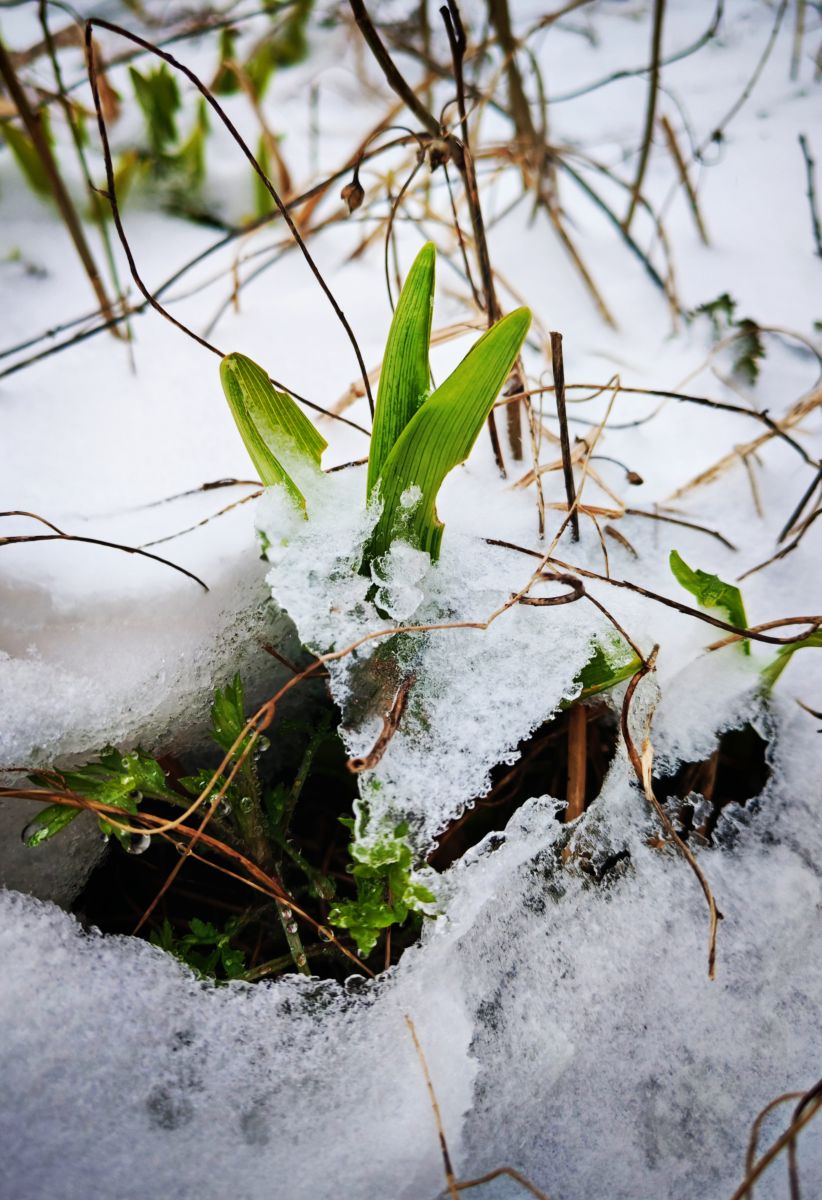 Podolskの天気写真. Elena55の美しい写真による天気予報